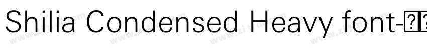 Shilia Condensed Heavy font字体转换 Shilia Condensed Heavy font字体转换